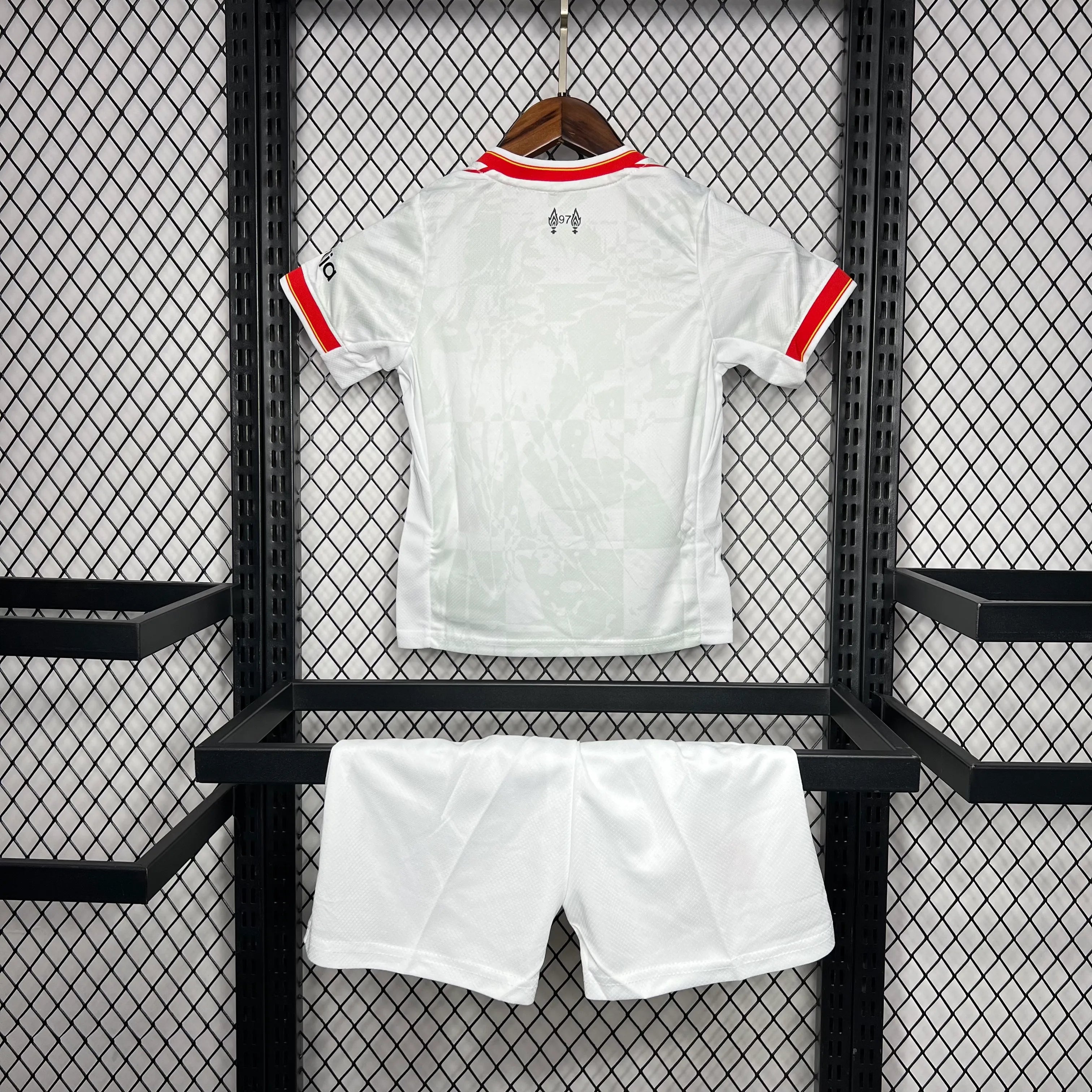 2024/2025 Liverpool Third Away