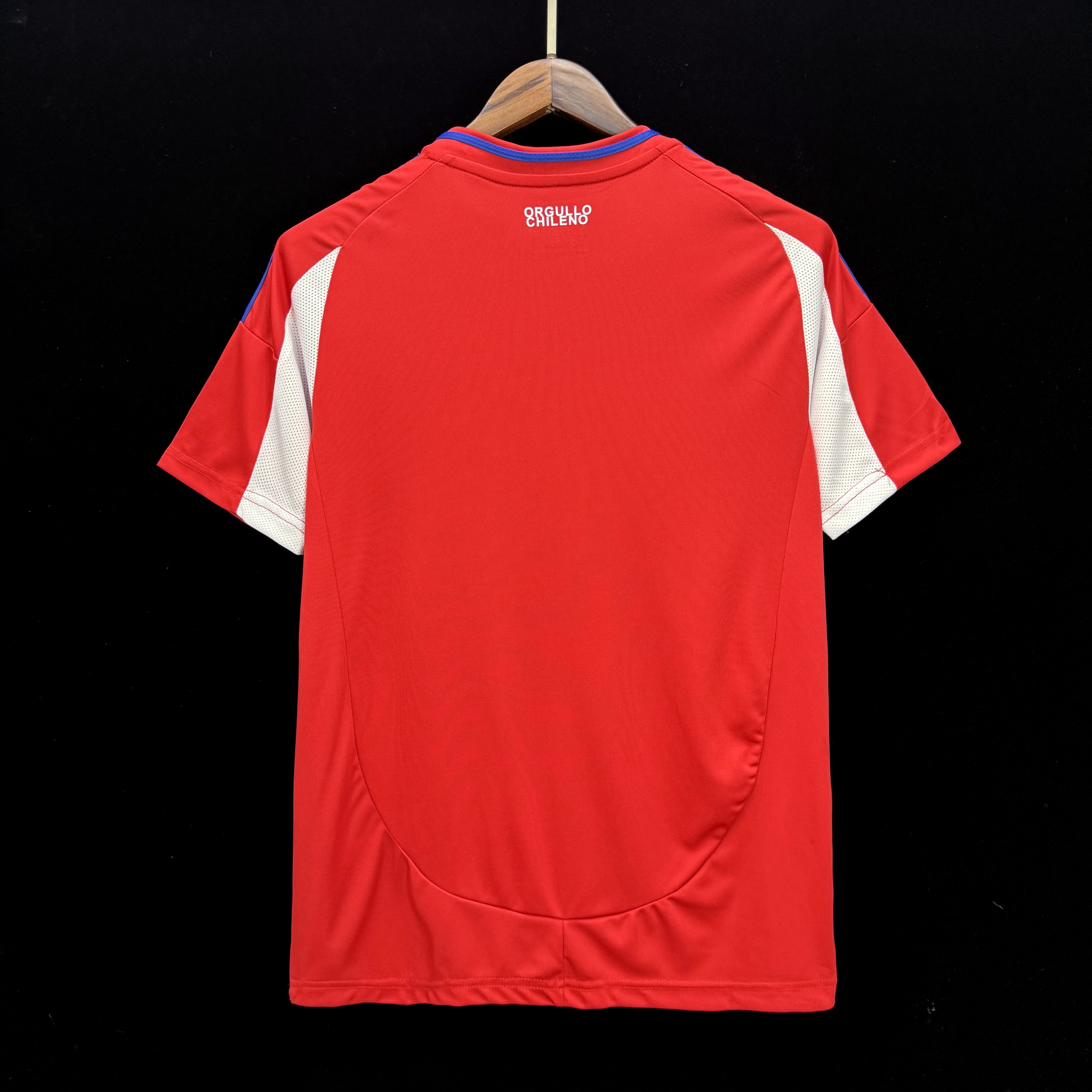2024-2025 Chile National Team