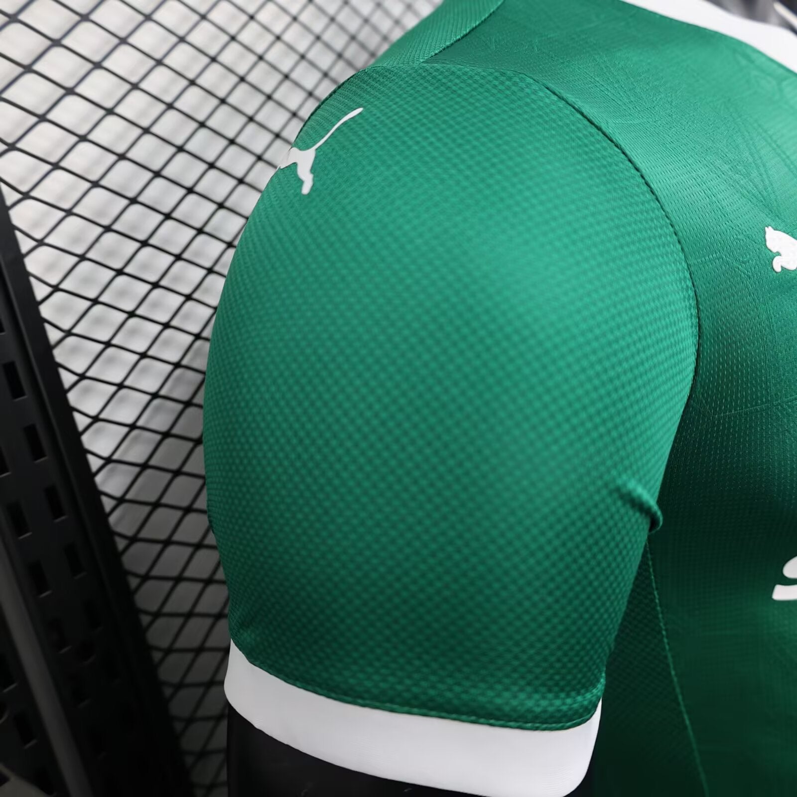 2025/2026 Player Version Palmeiras Green Home
