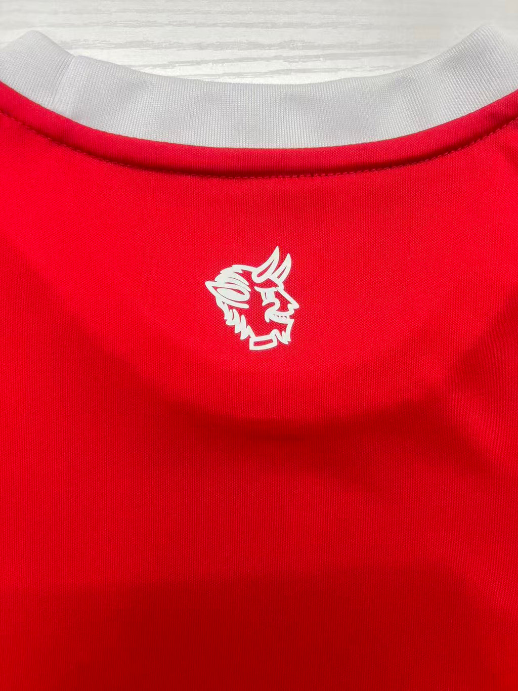 2025/2026 FC Kaiserslautern Home