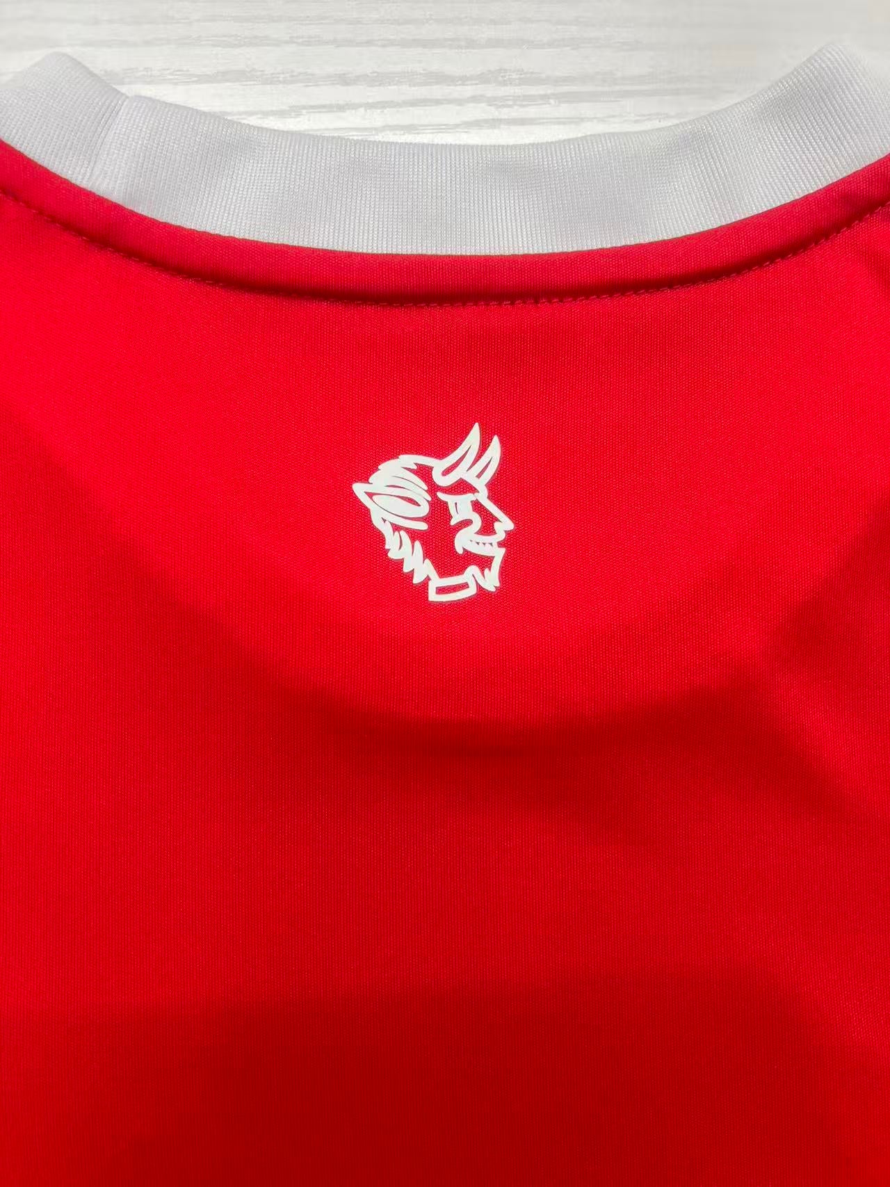 2025/2026 FC Kaiserslautern Home