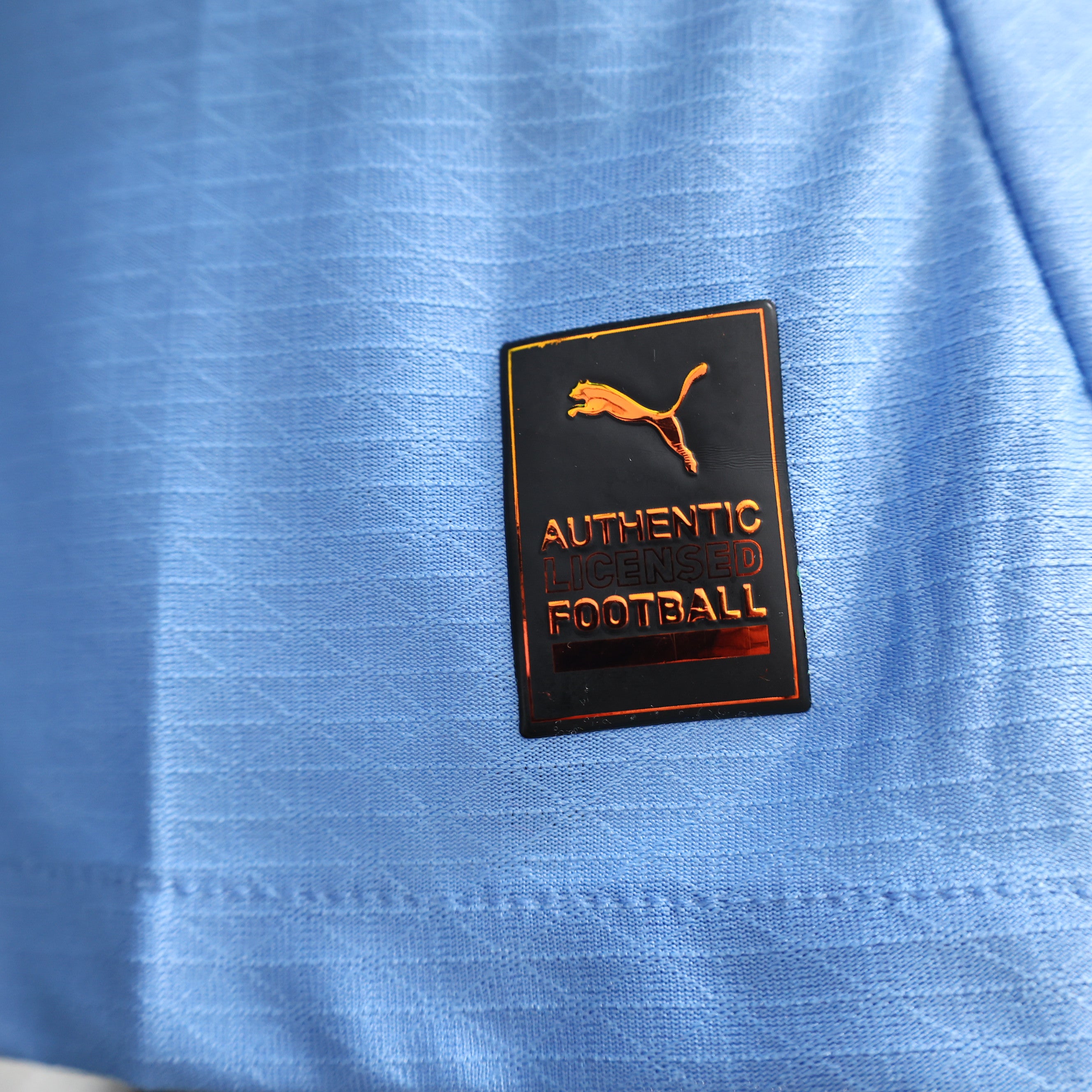 2024/2025 Player Version Manchester City Home