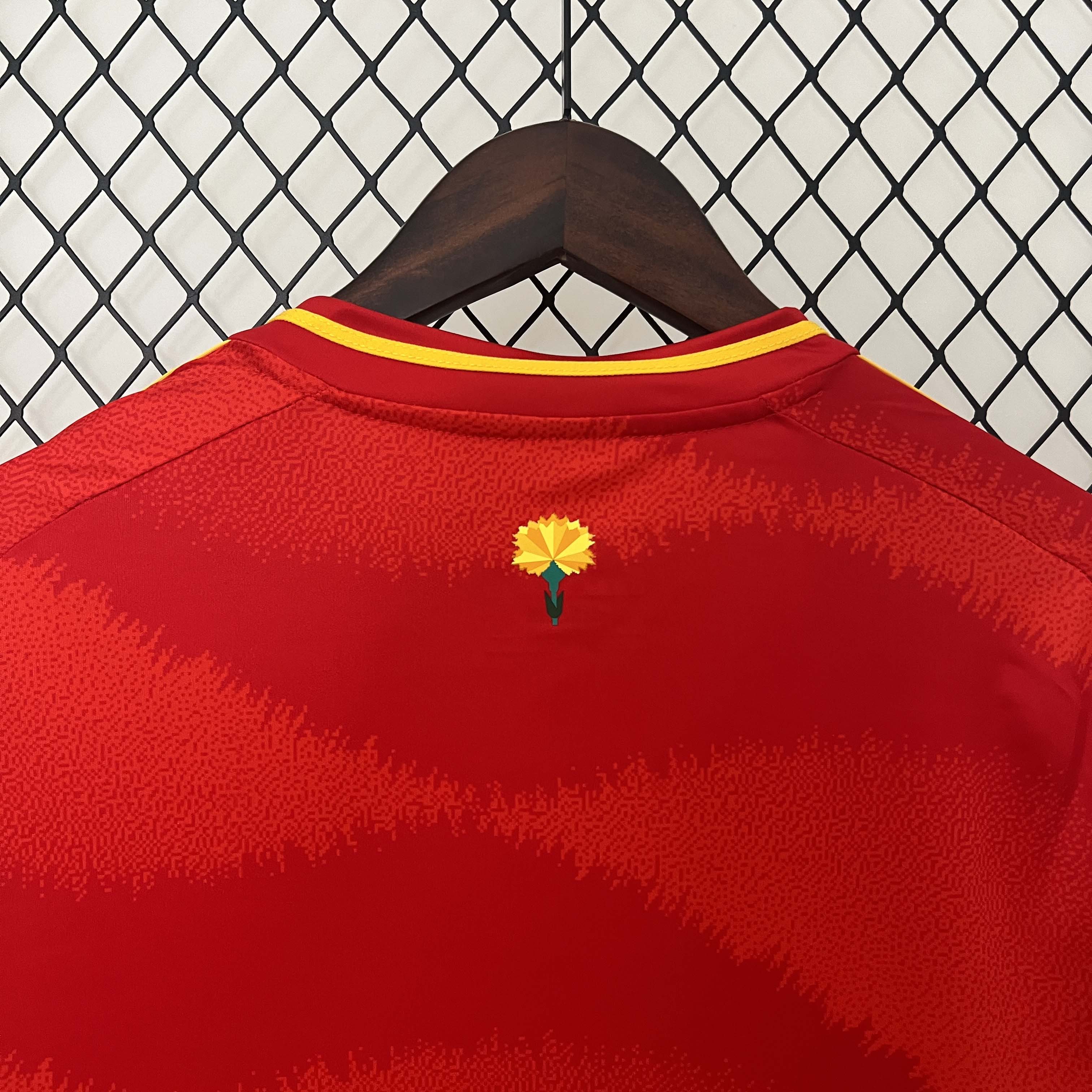 2024-2025 Spain Home