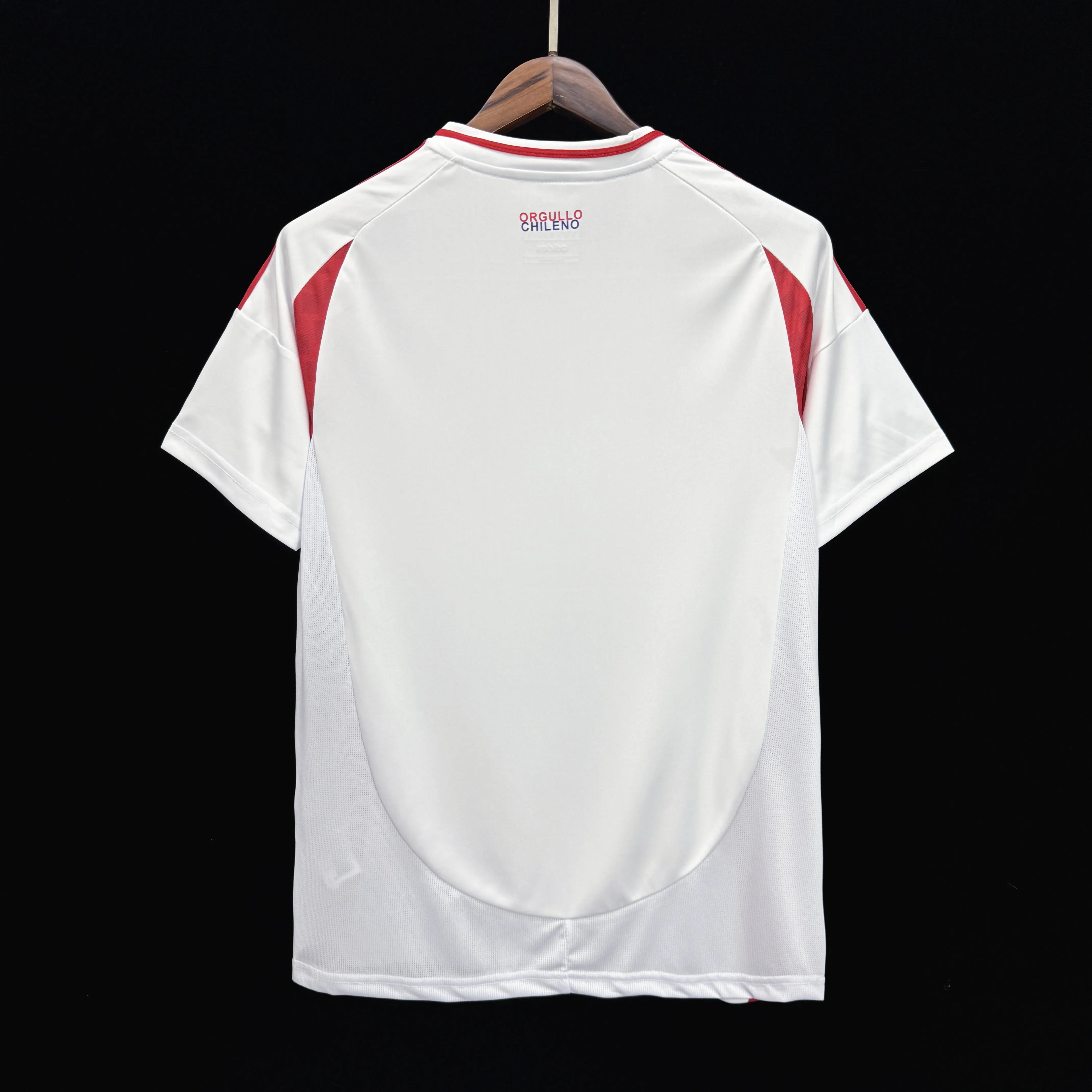 2024-2025 Chile National Team