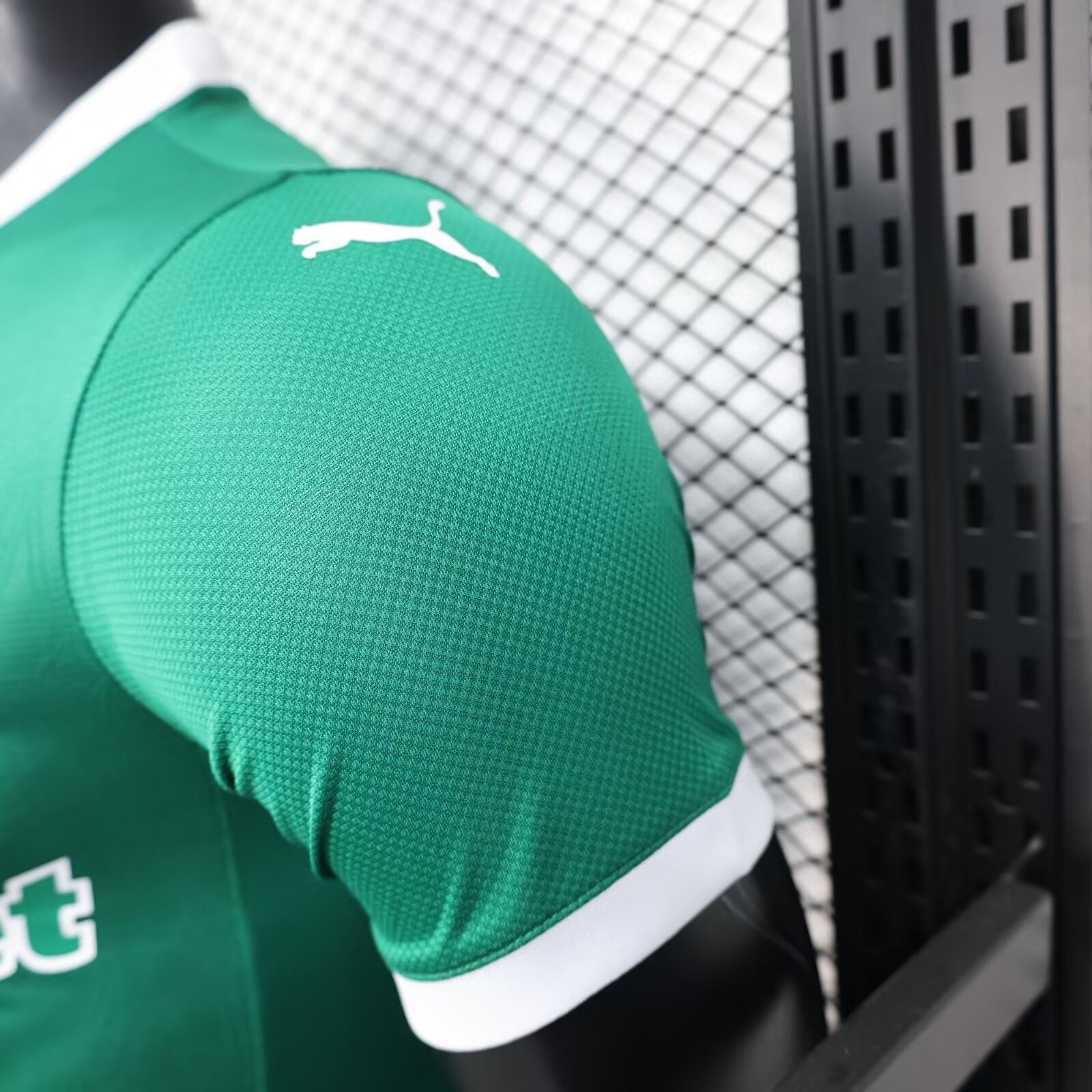 2025/2026 Player Version Palmeiras Green Home