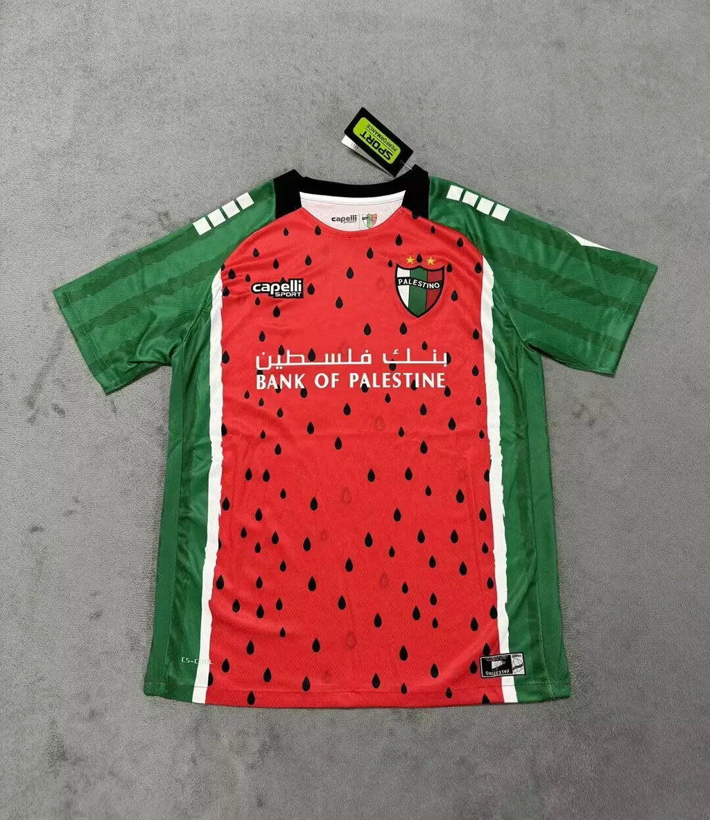 2025/2026 Palestine Third Away