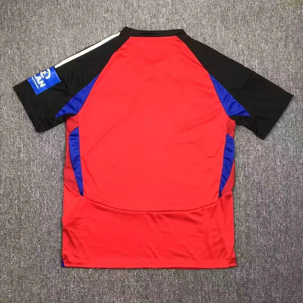 2024-2025 Hamburger SV Third Away