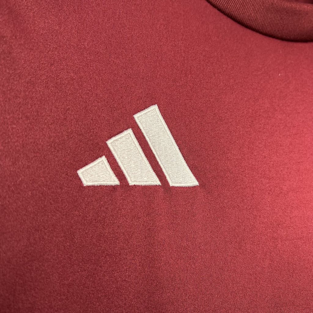 2024/2025 Aston Villa Home