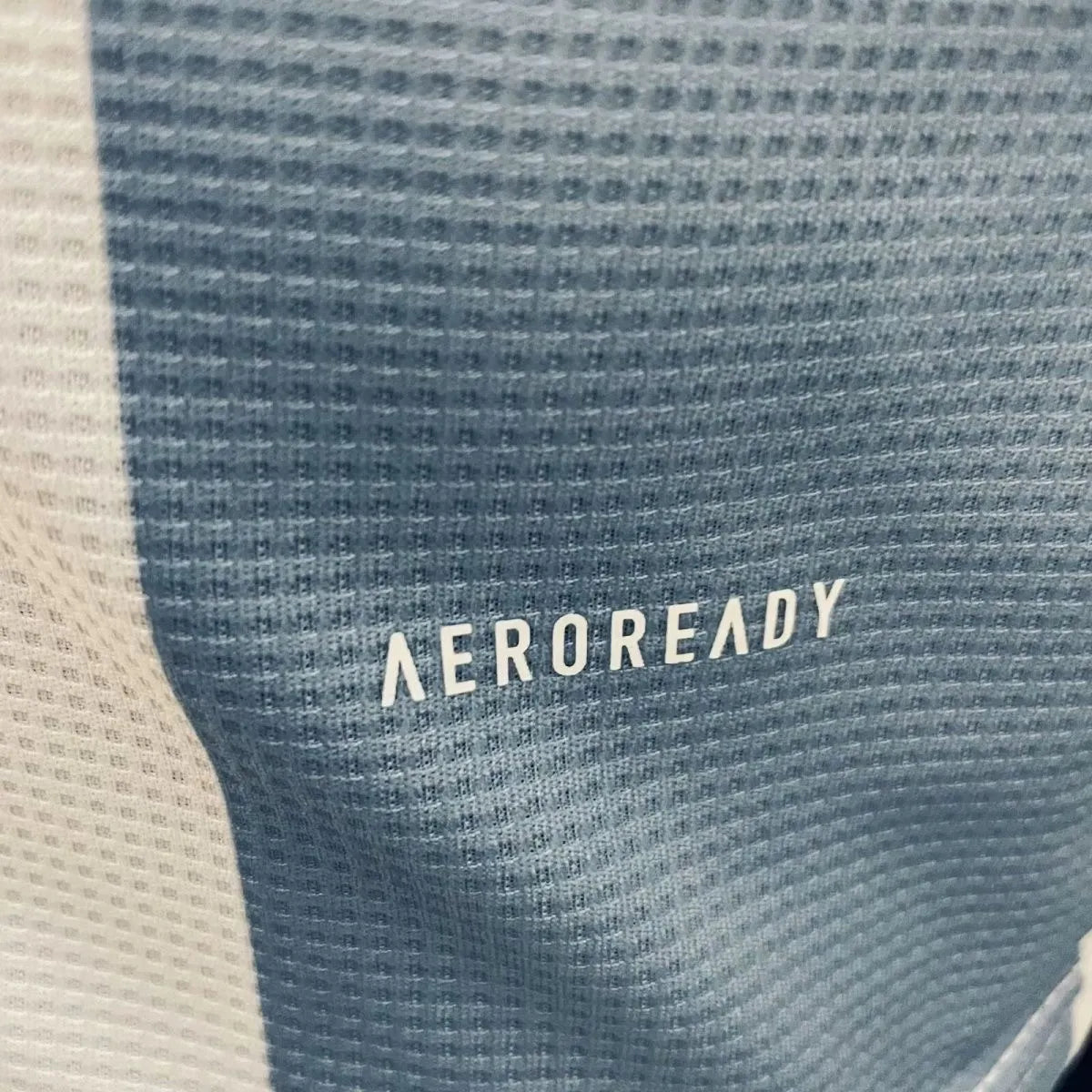 2025/2026 Long Sleeves Player Version Argentina 50th Anniversary Edition