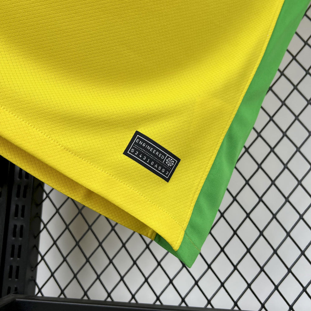 2025/2026 Brazil Home