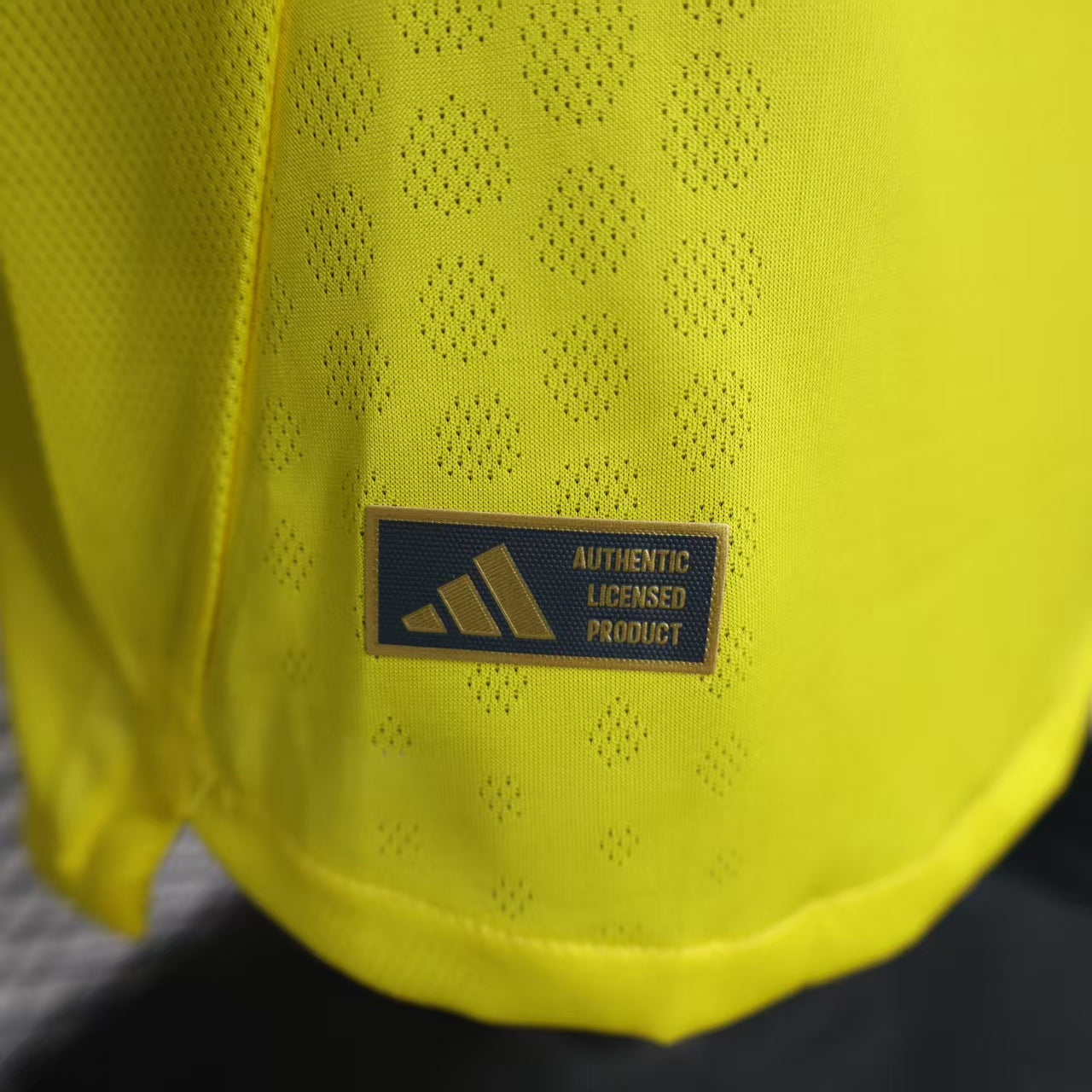 2025/2026 Long Sleeve Player Version Club América Home