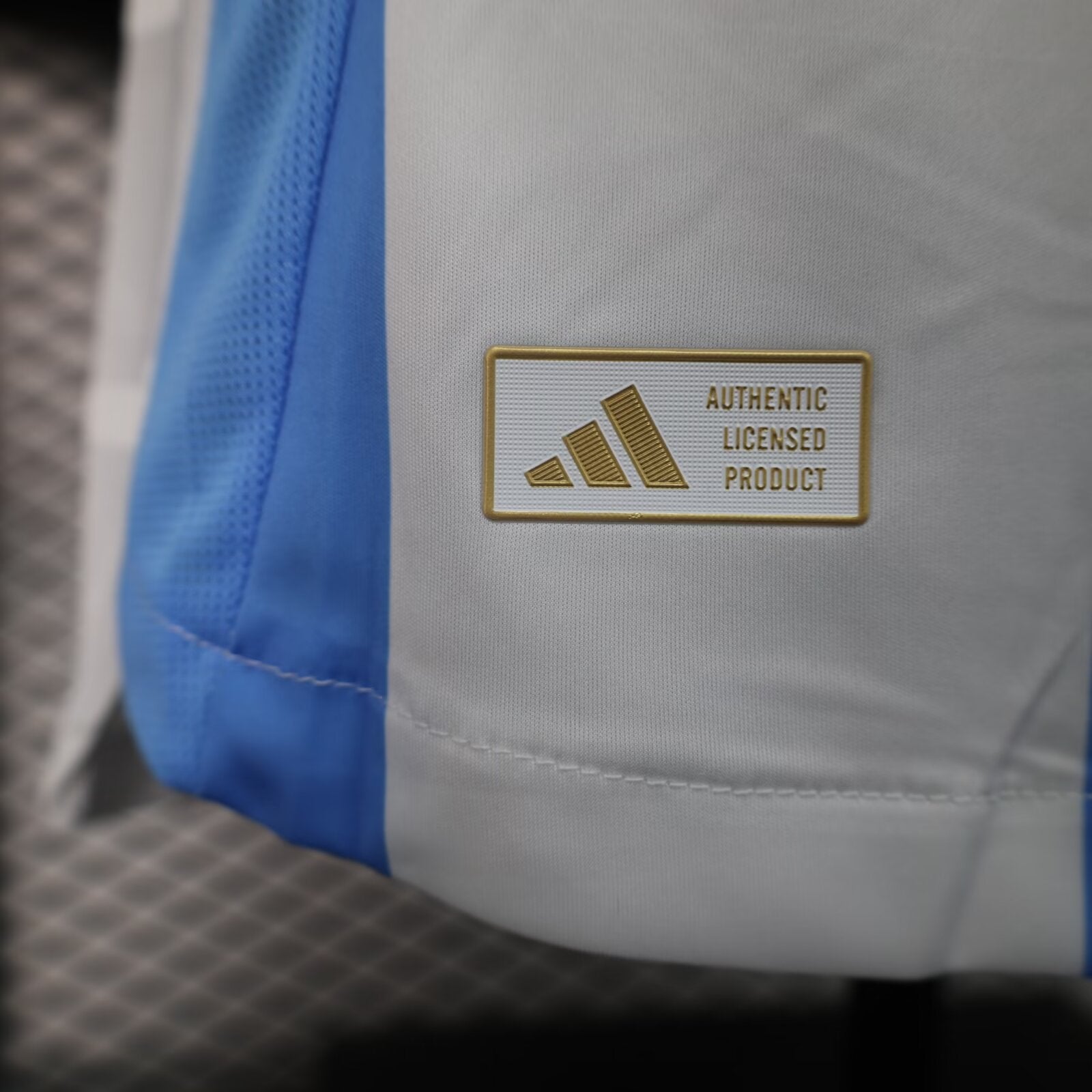 2024-2025 Player Version Argentina Home