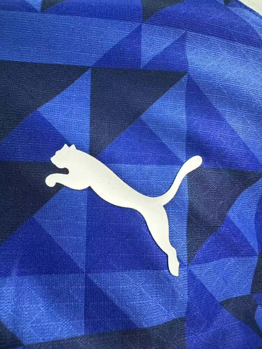 2024/2025 Player Version Al-Hilal Saudi Home
