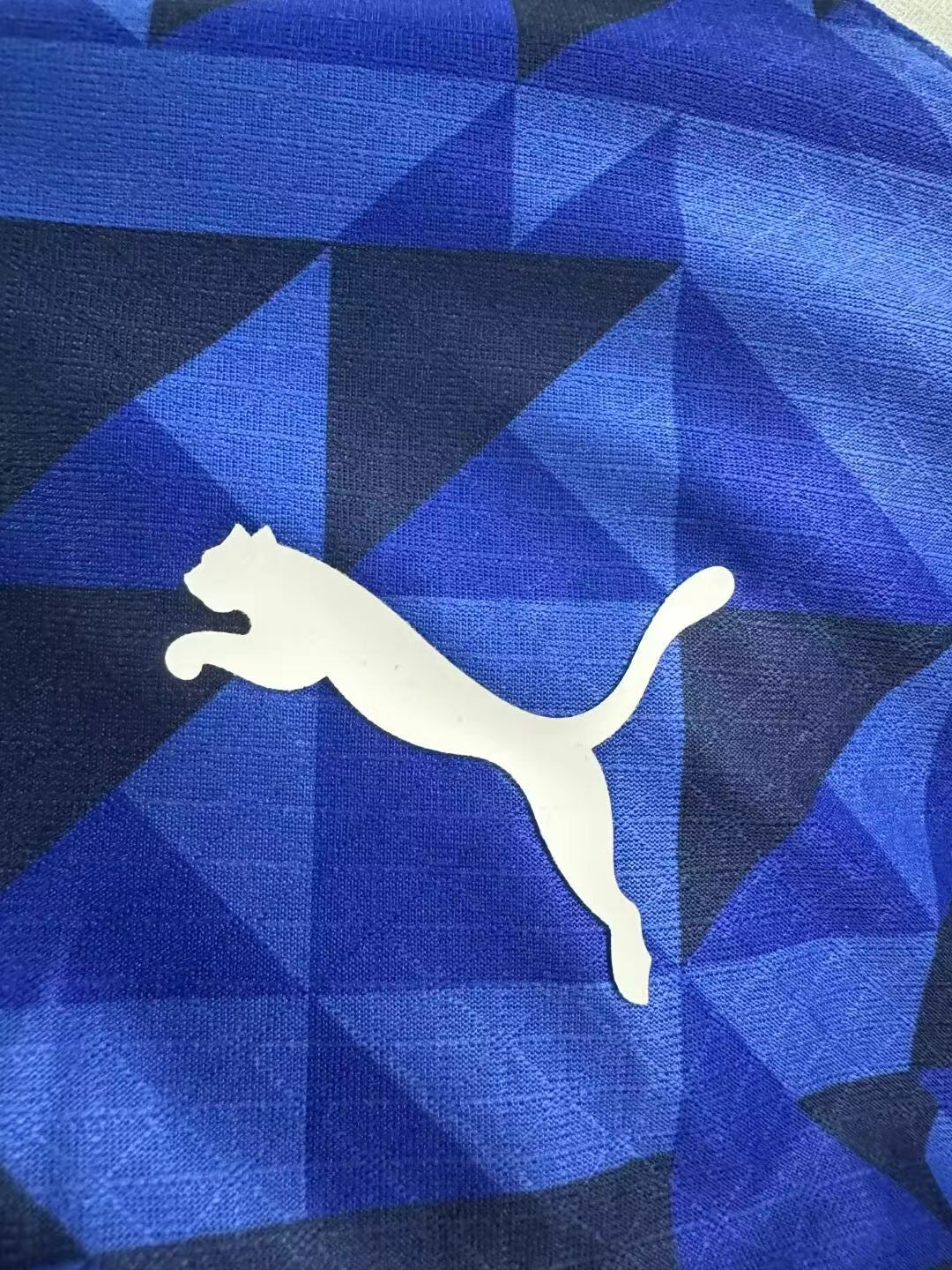 2024/2025 Player Version Al-Hilal Saudi Home