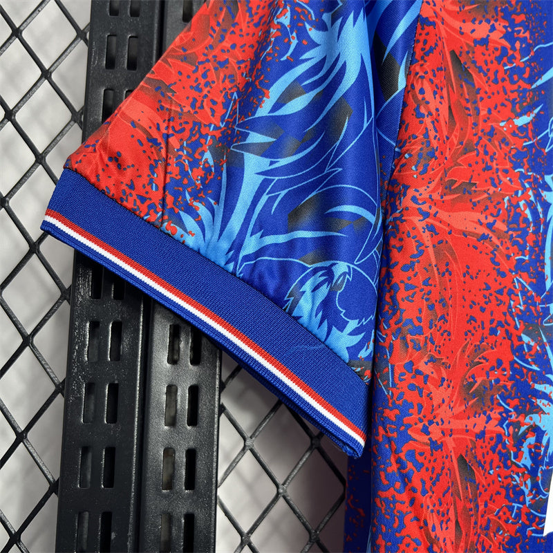 2024/2025 Crystal Palace Home