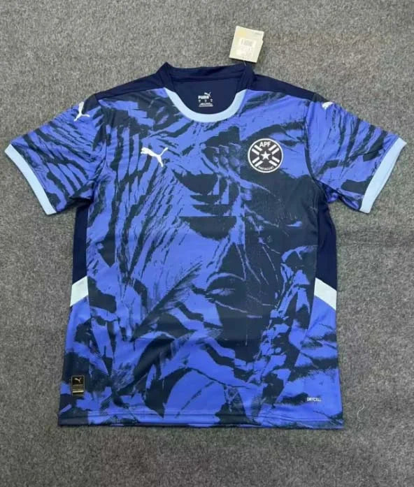 2024-2025 Paraguay National Team Away