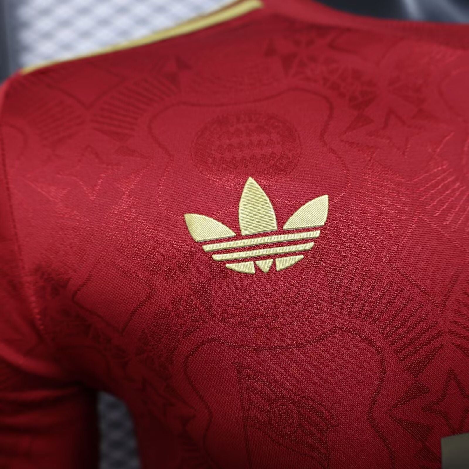 2025/2026 Long Sleeve Player Version Bayern Munich 125th Anniversary Red