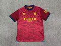 2024/2025 Ipswich Away