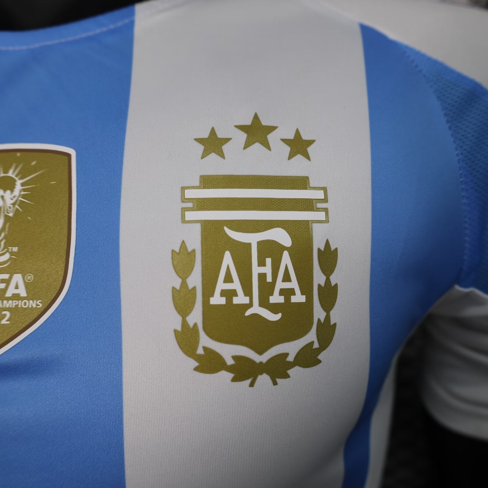 2024-2025 Player Version Argentina Home