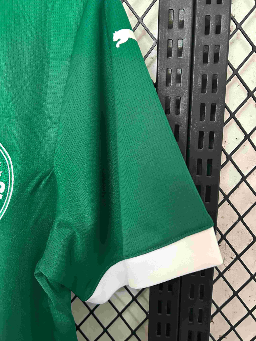 2025/2026 Palmeiras Home