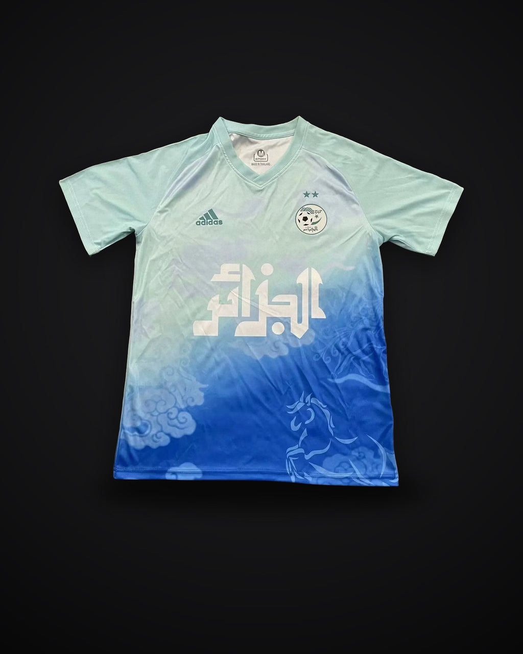 2025/2026 Algeria National Team Training clothes