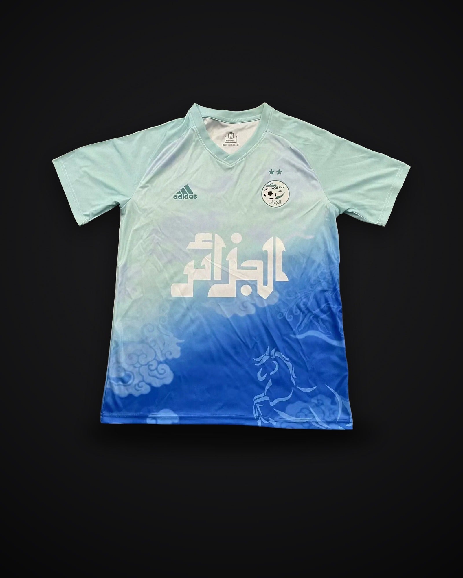 2025/2026 Algeria National Team Training clothes