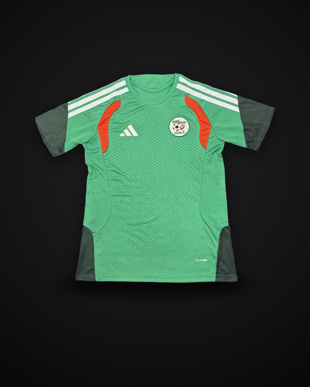 2026/2027 Algeria National Team Training Green No stars Football Shirt 1:1 Thai Quality