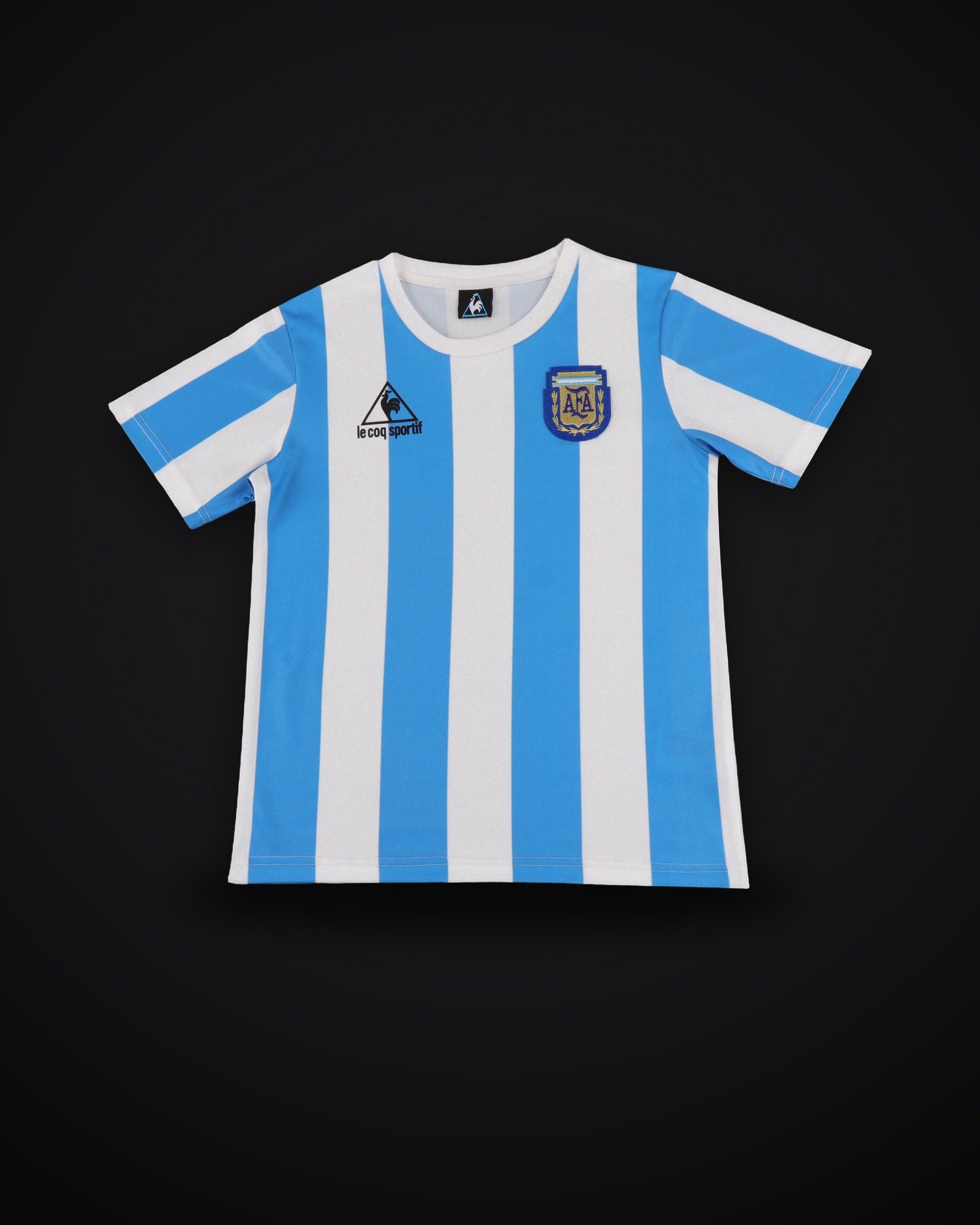1986 Retro Argentina National Team Home Jersey