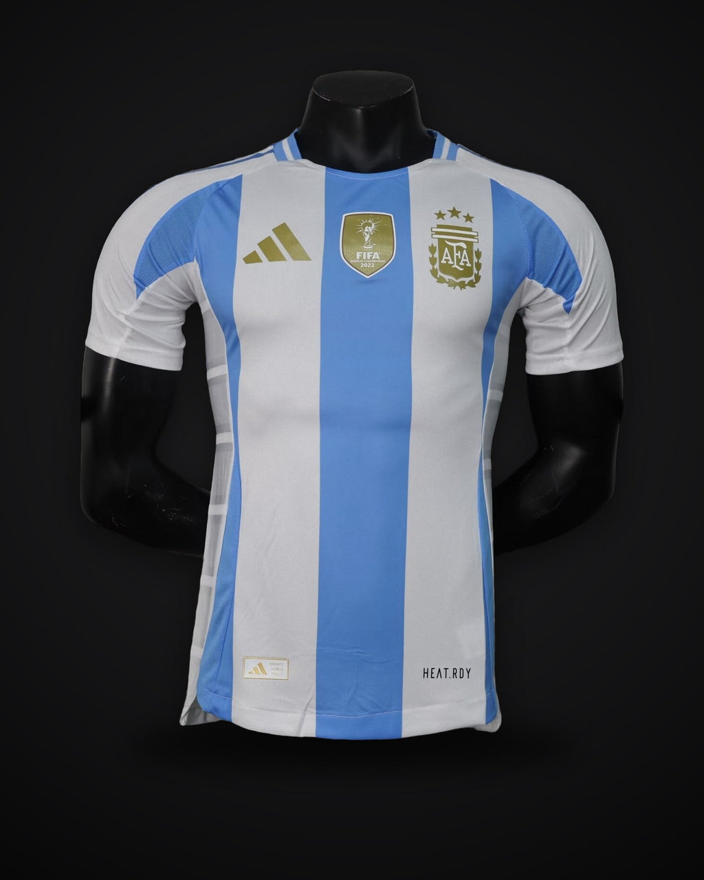 2024-2025 Player Version Argentina Home