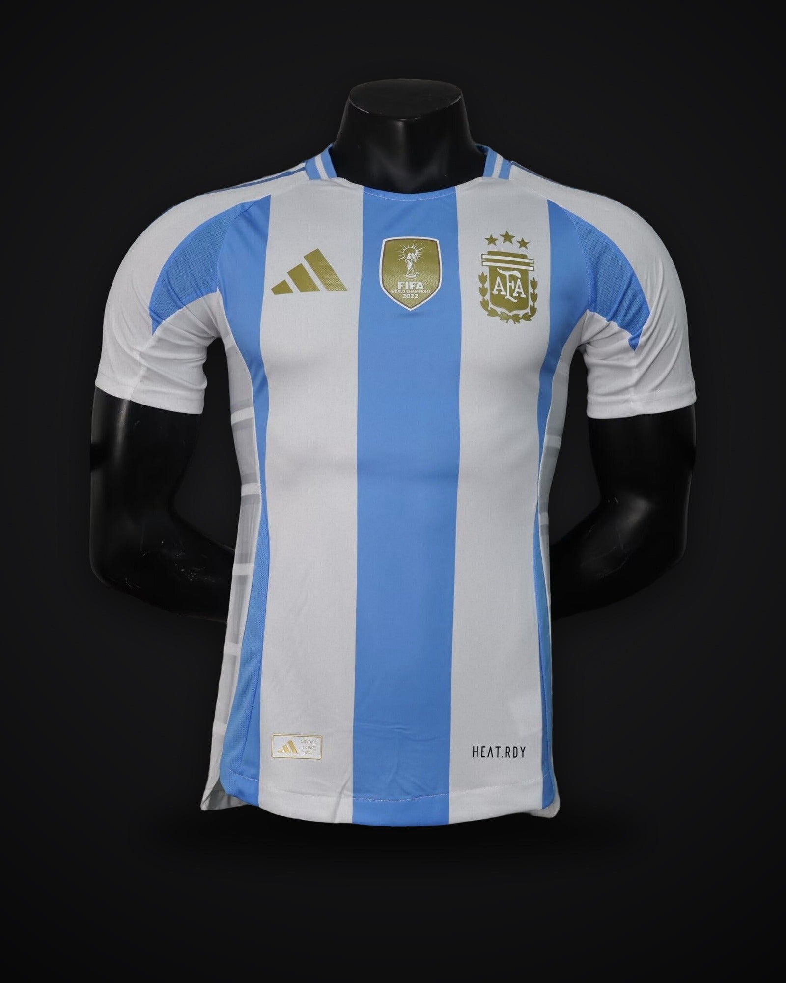 2024-2025 Player Version Argentina Home