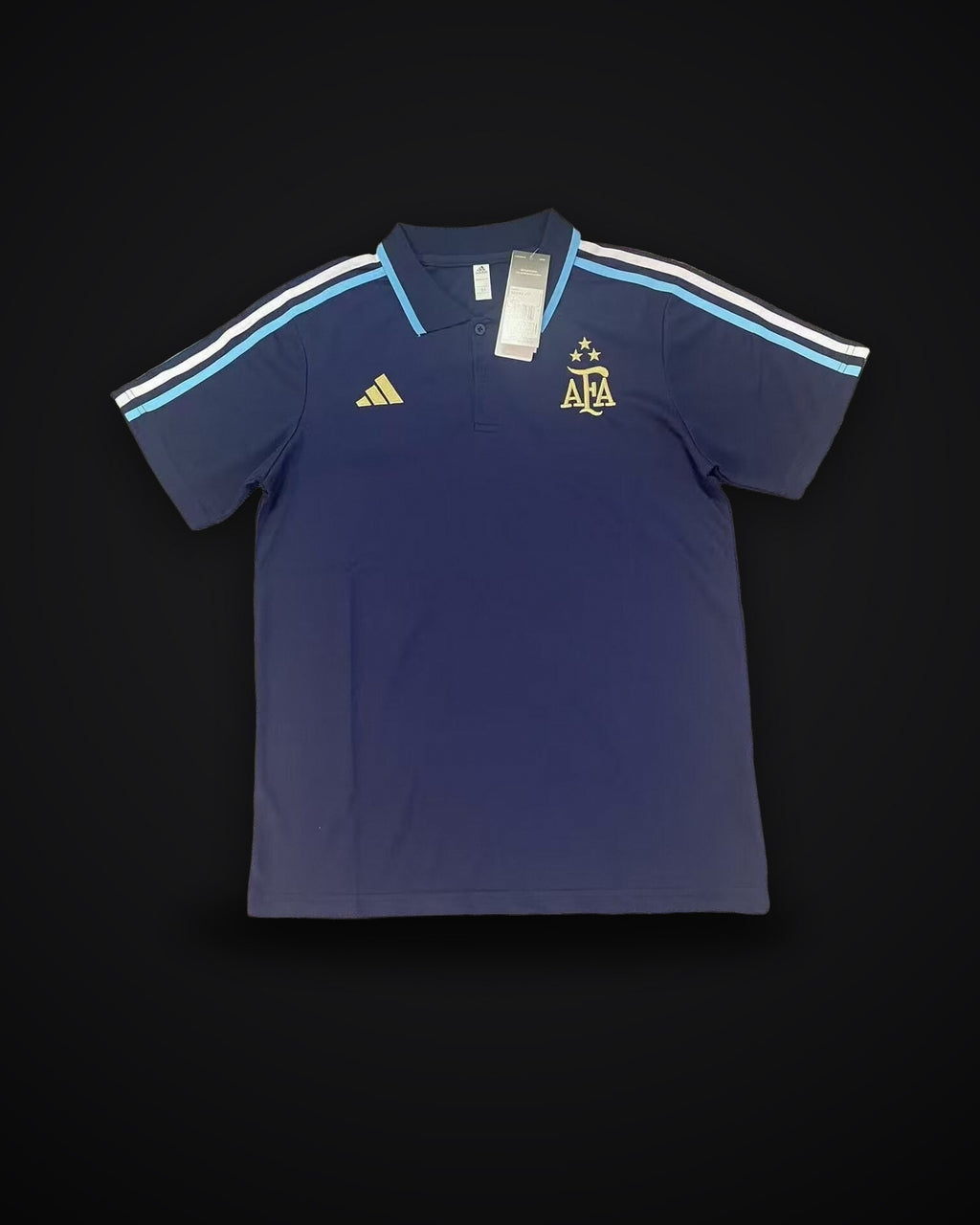 2025/2026 Argentina National Team Polo Shirt Special Edition