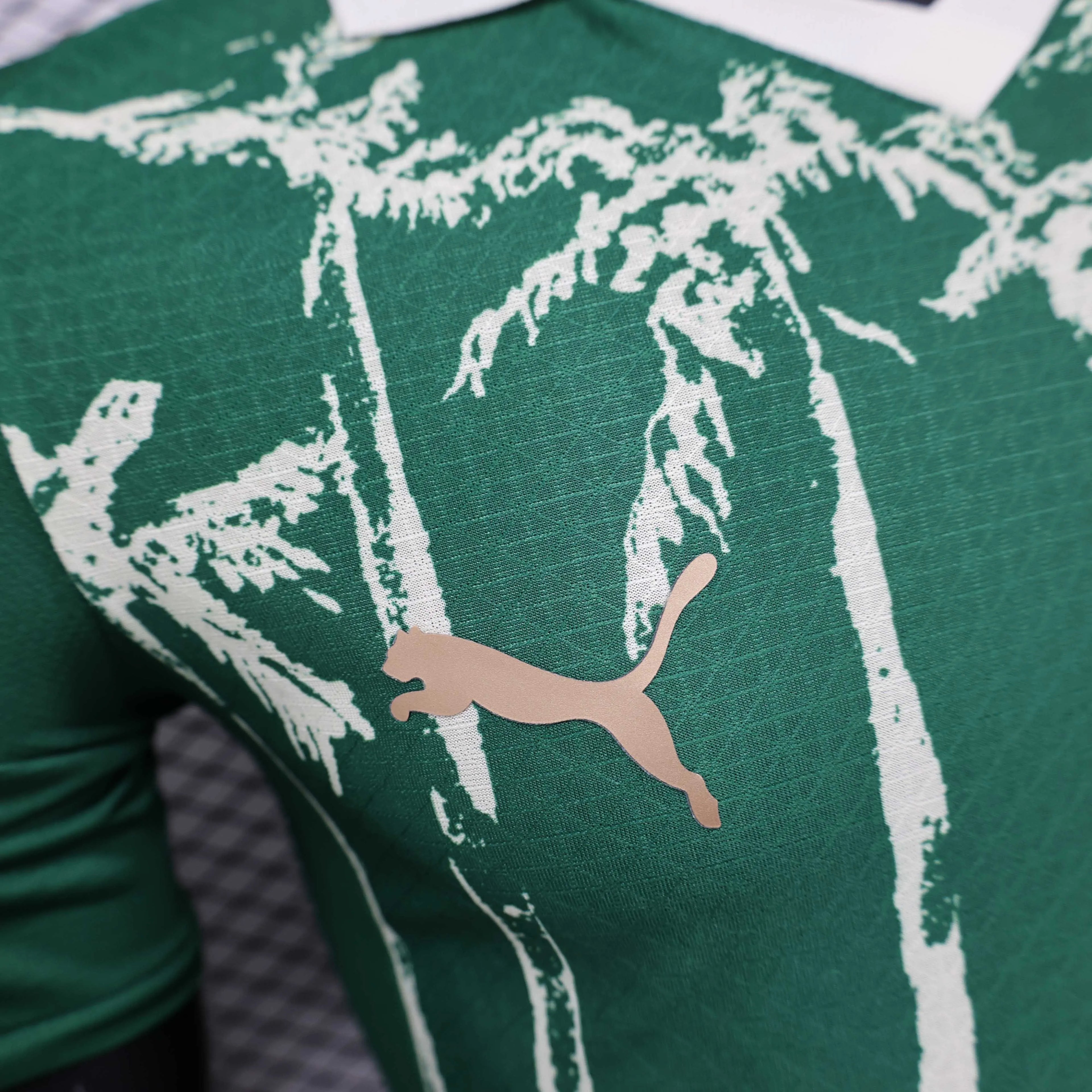 2025/2026 Player Version Palmeiras Home Green