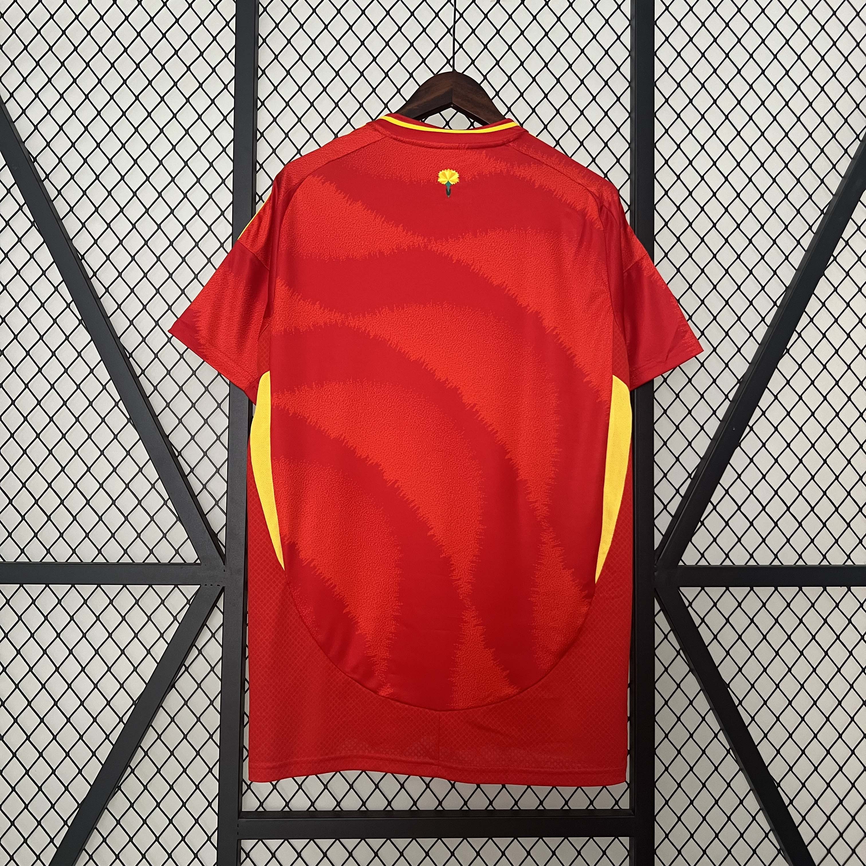 2024-2025 Spain Home