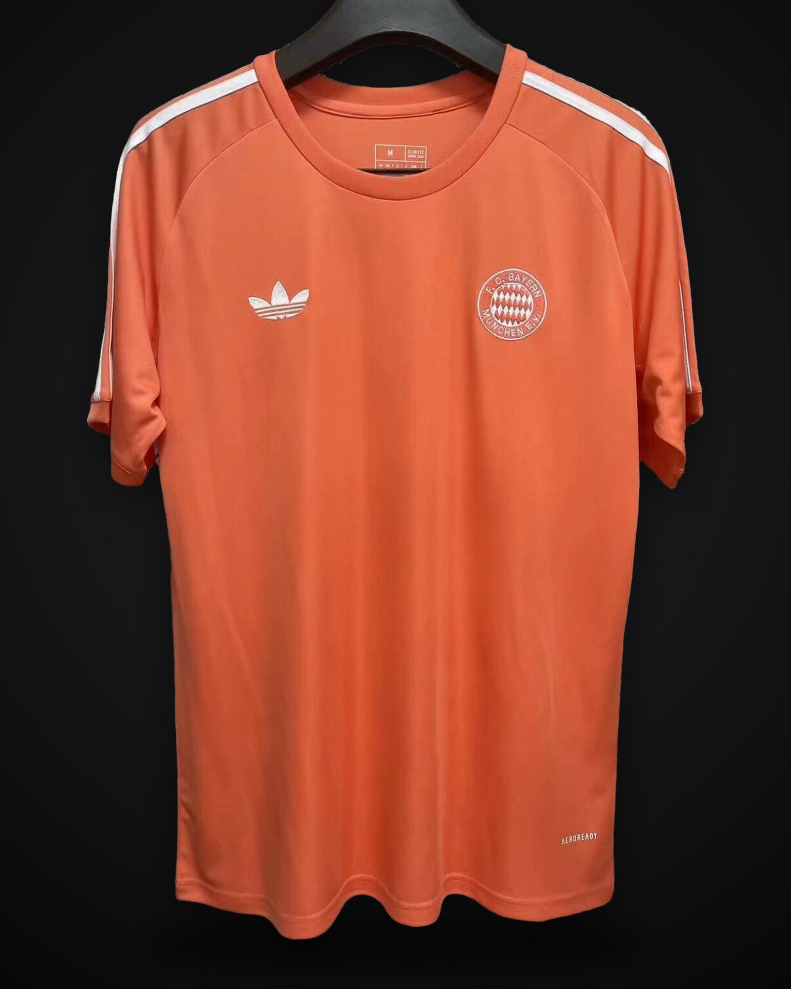 2024/2025 Bayern Munich Special Edition T-Shirt