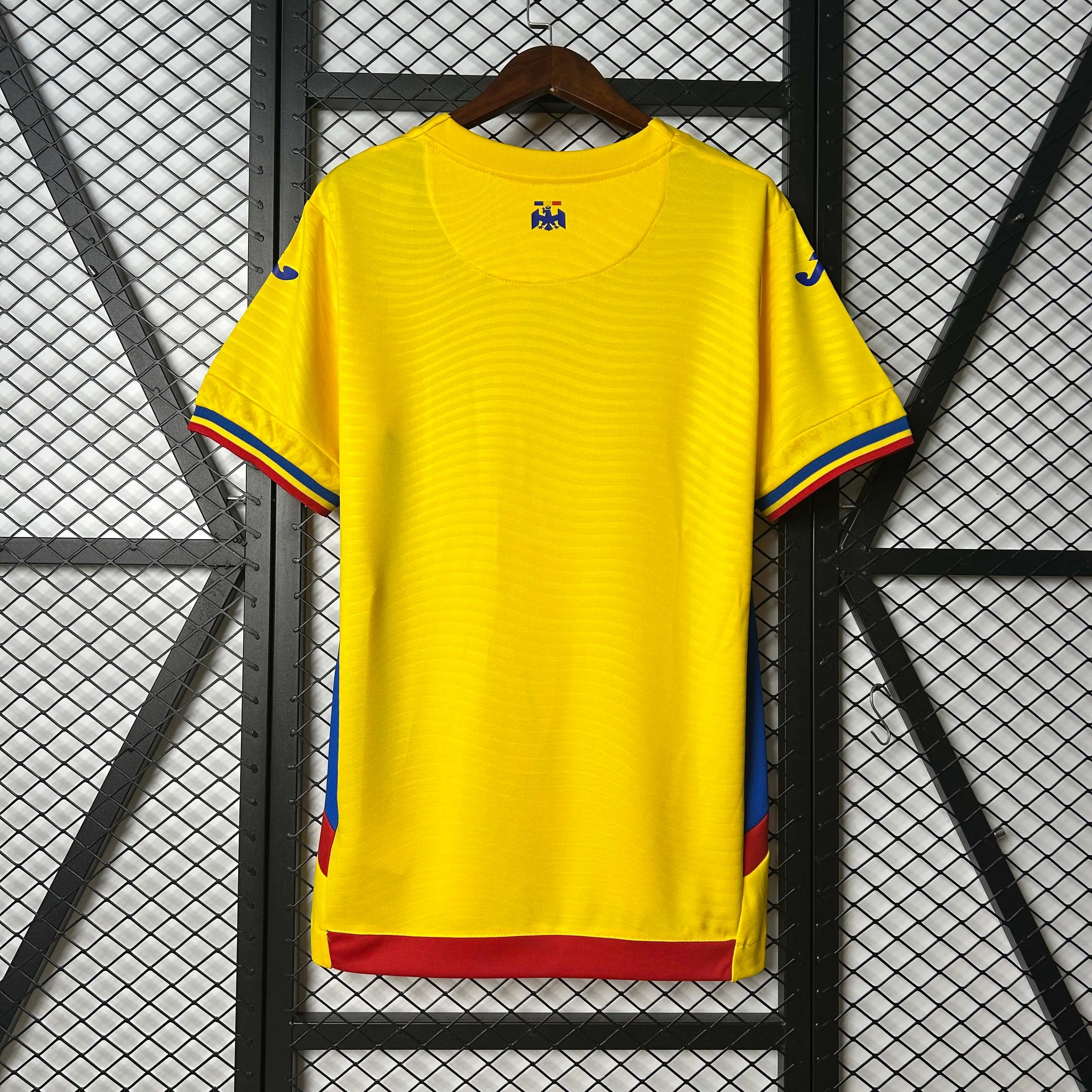 2025-2026 Romania Home