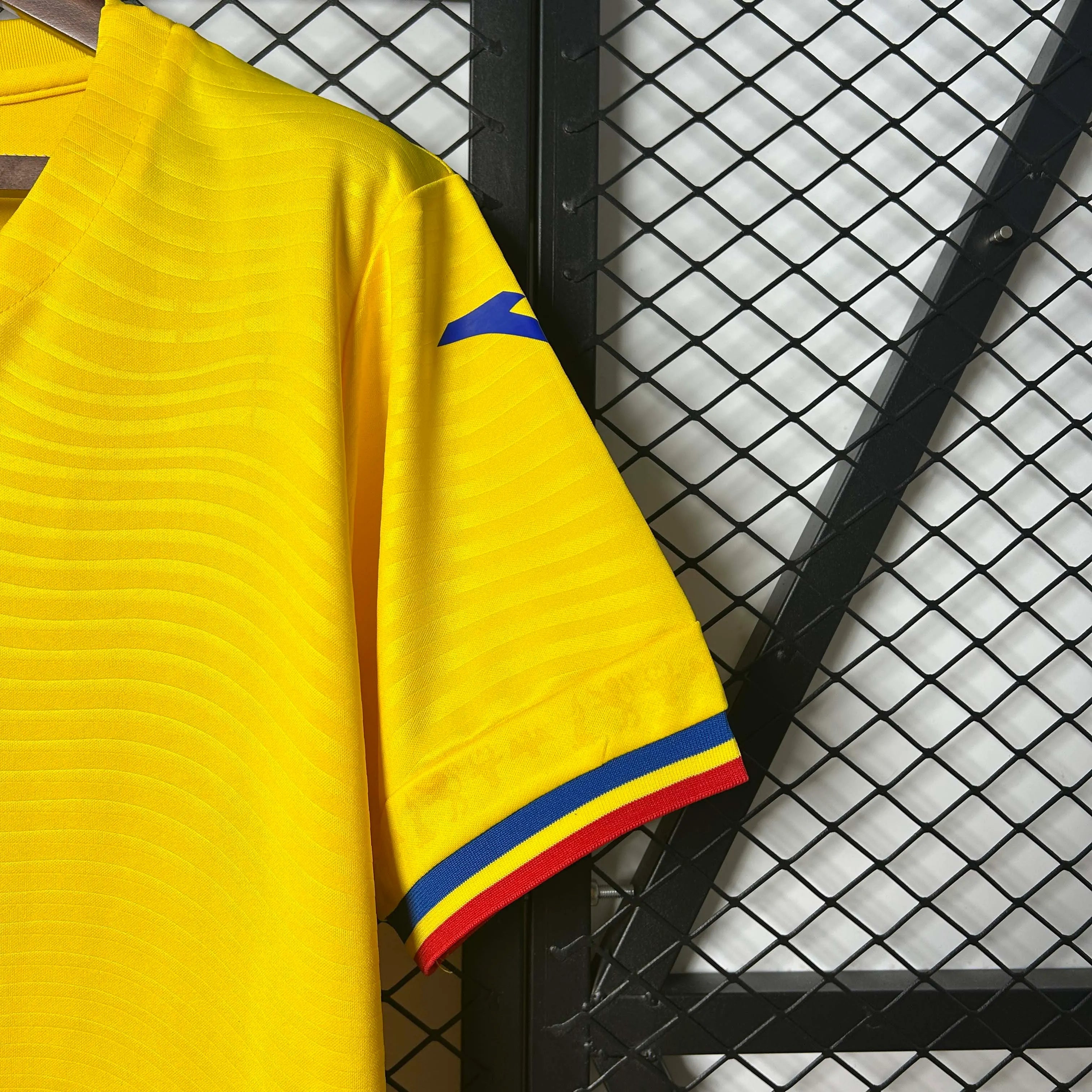 2025-2026 Romania Home