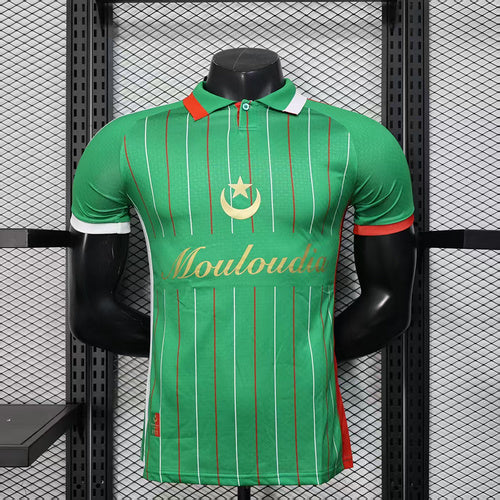 2025/2026 Player Version Palestine Special Edition Green