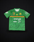 2025/2026 Cameroon Training clothes Green