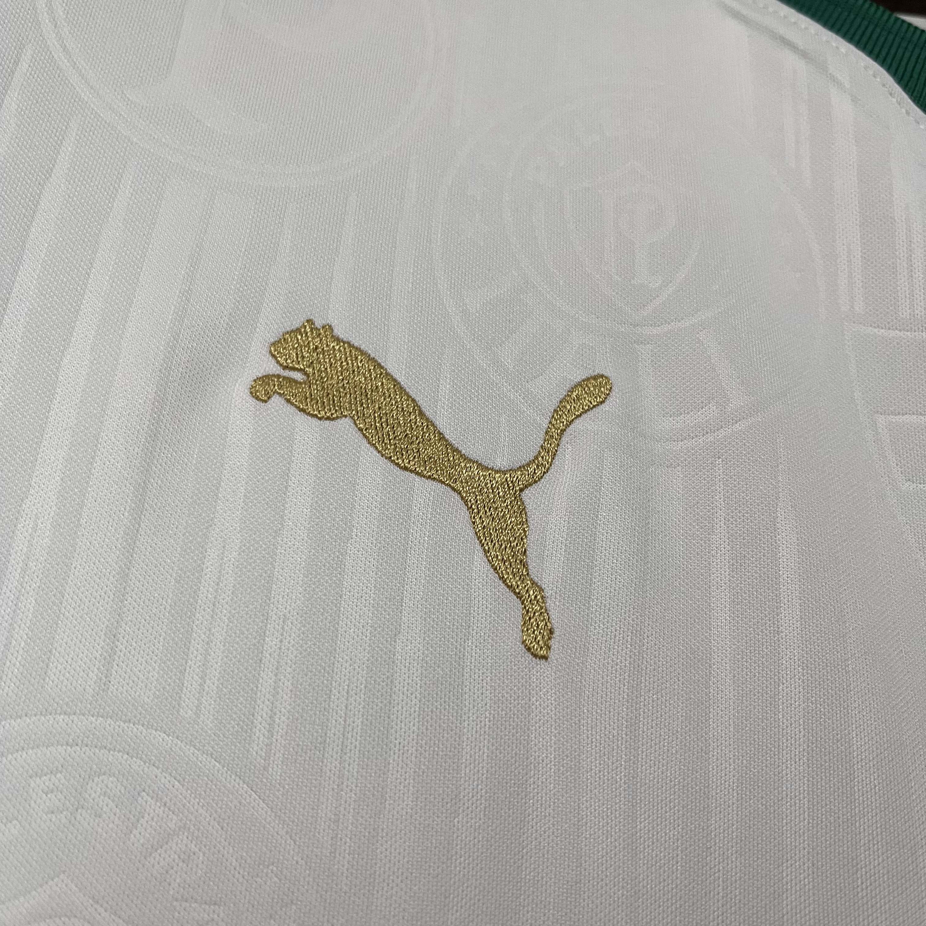 2024/2025 Palmeiras Away Jersey