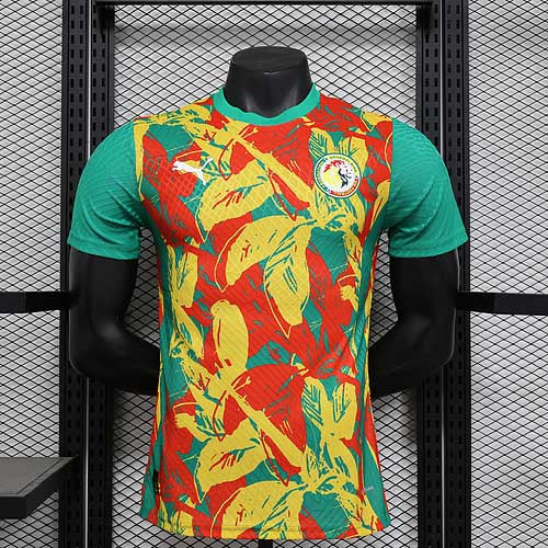 2025/2026 Player Version Senegal National Team Pre-match outfit