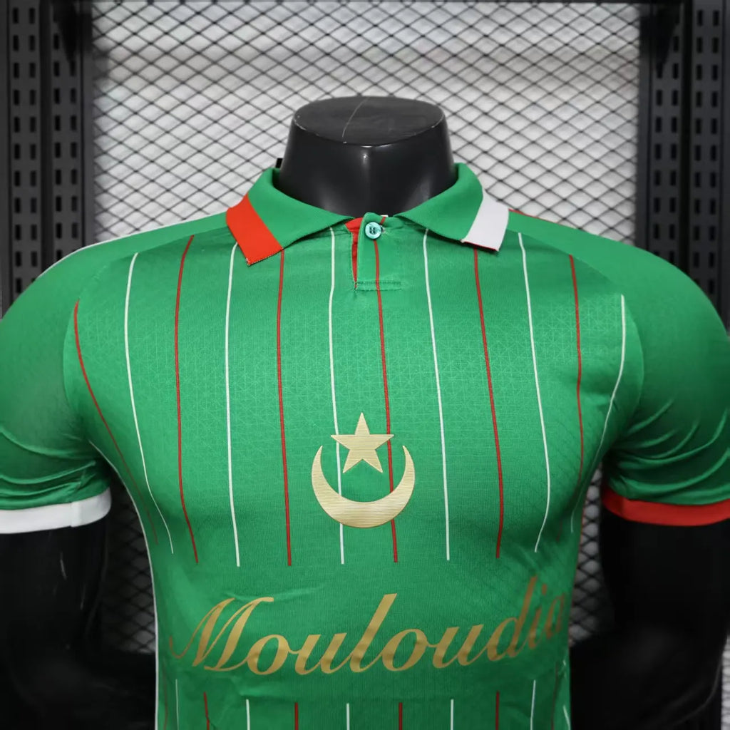 2025/2026 Player Version Palestine Special Edition Green