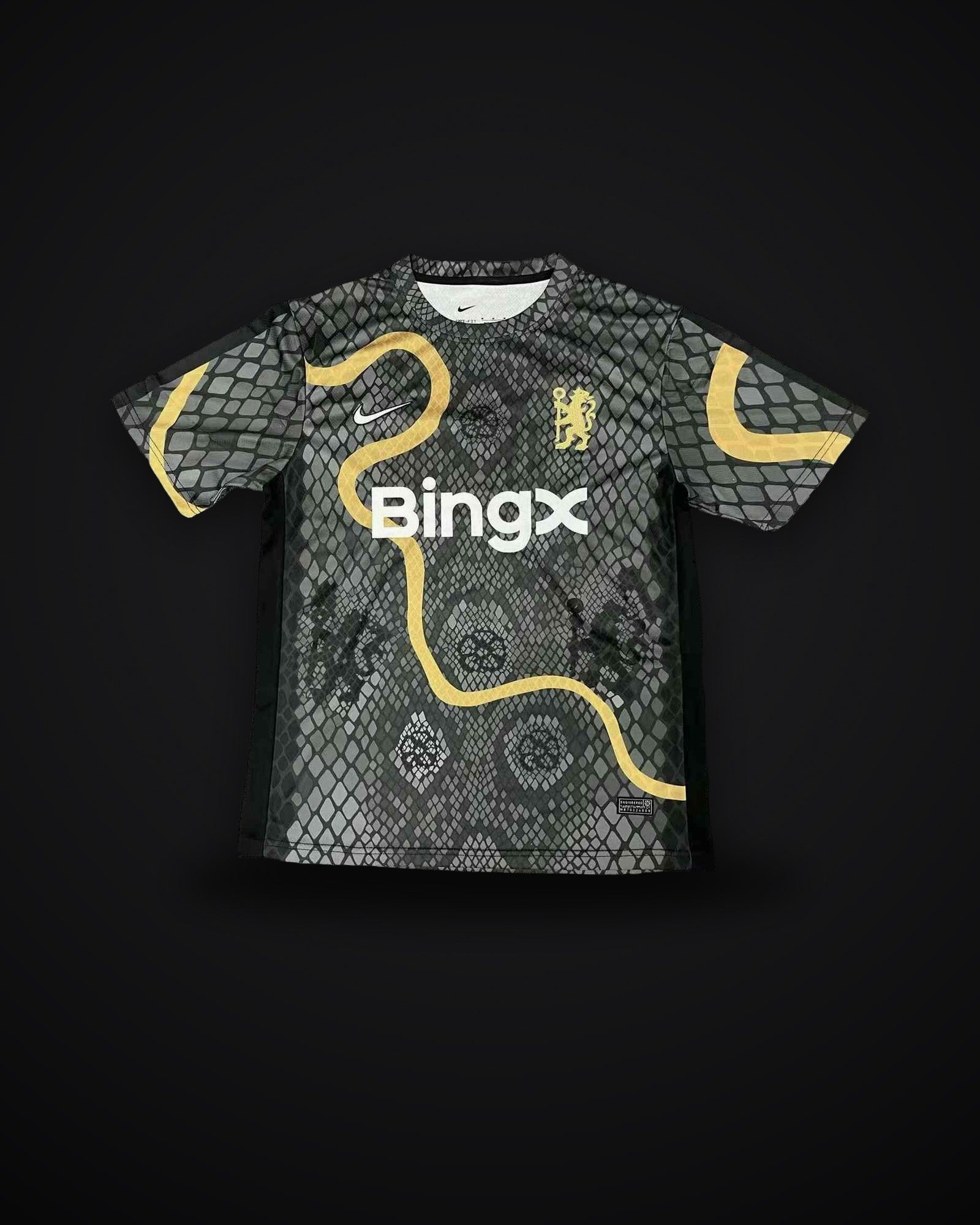 2025/2026 Chelsea  Commemorative Snake Edition
