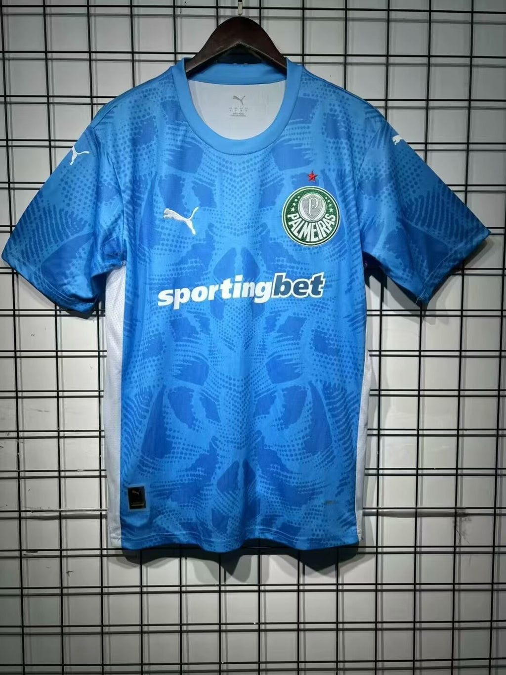 2025/2026 Palmeiras goalkeeper