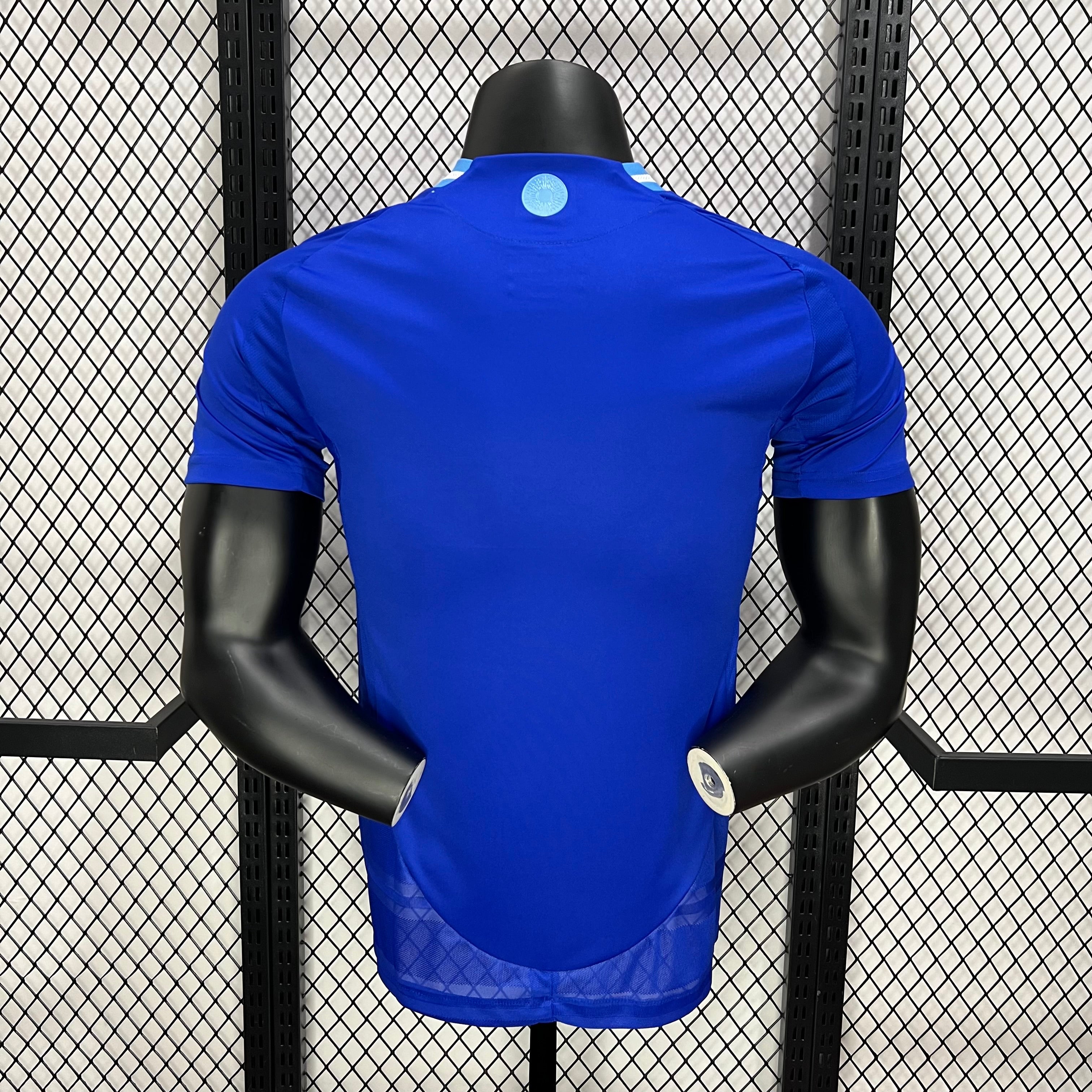 2024-2025 Player Version Argentina Away