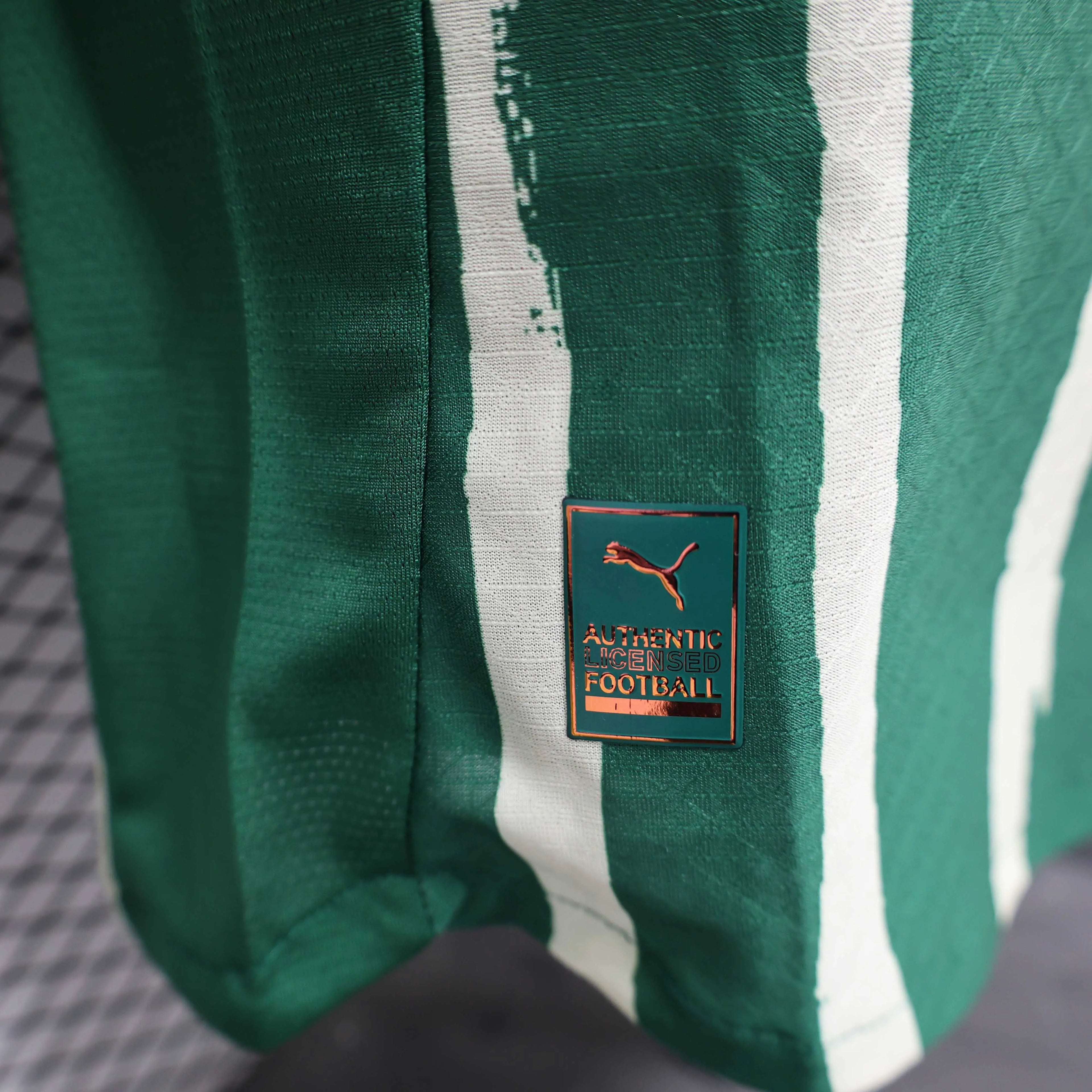 2025/2026 Player Version Palmeiras Home Green