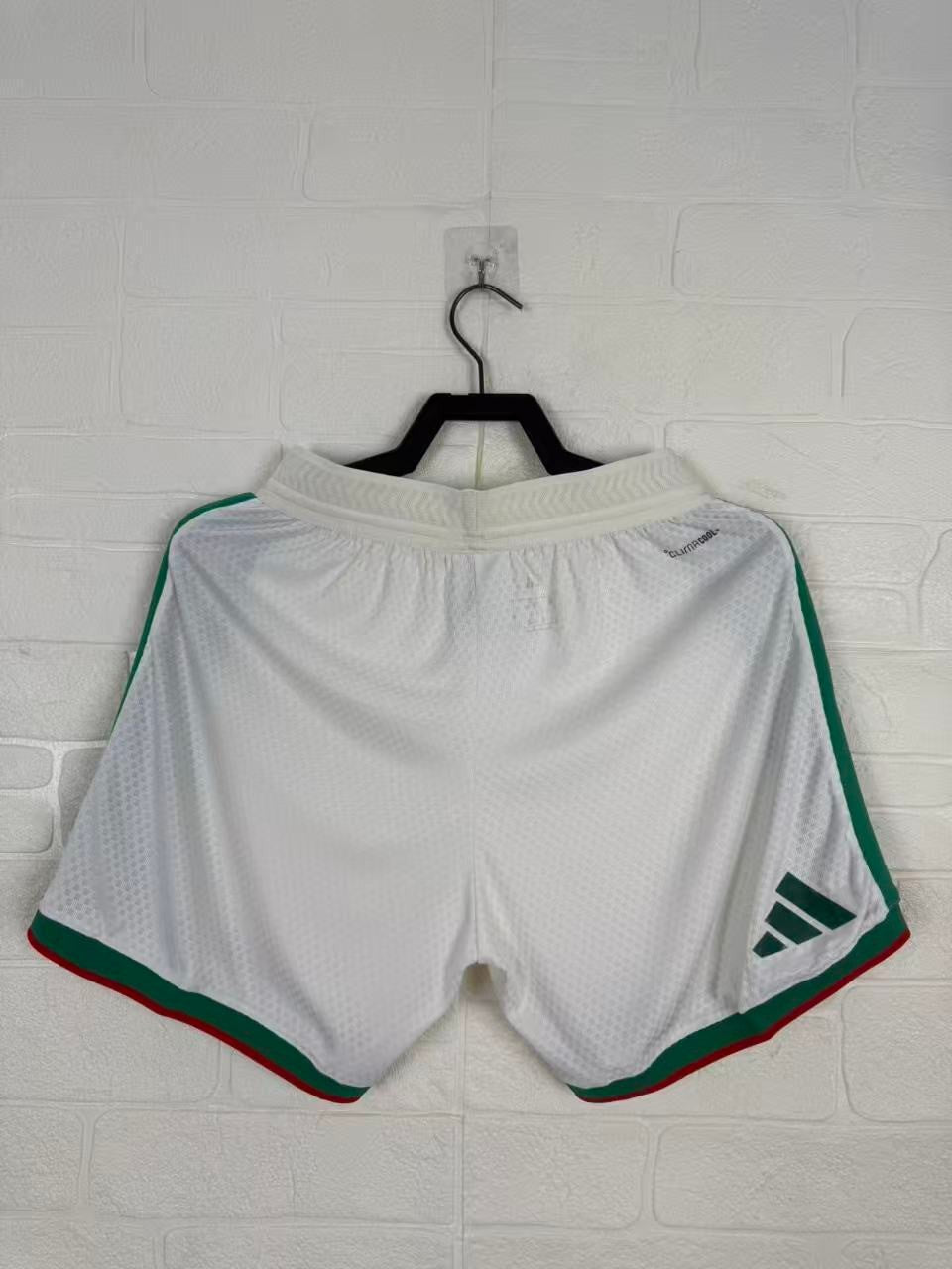 2026/2027 Player Version Algeria National Team Home Football Shorts 1:1 Thai Quality