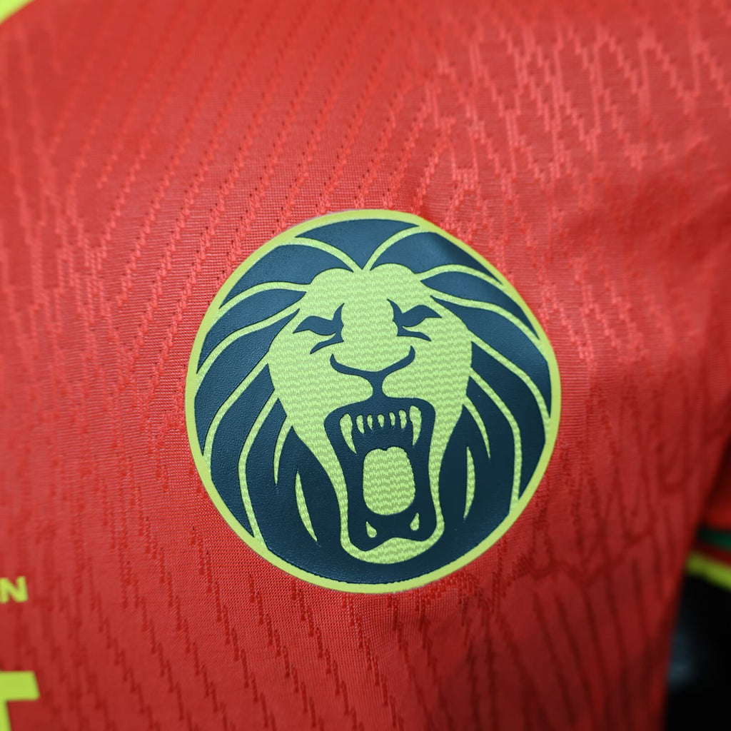 2025/2026 Player Version Cameroon  away