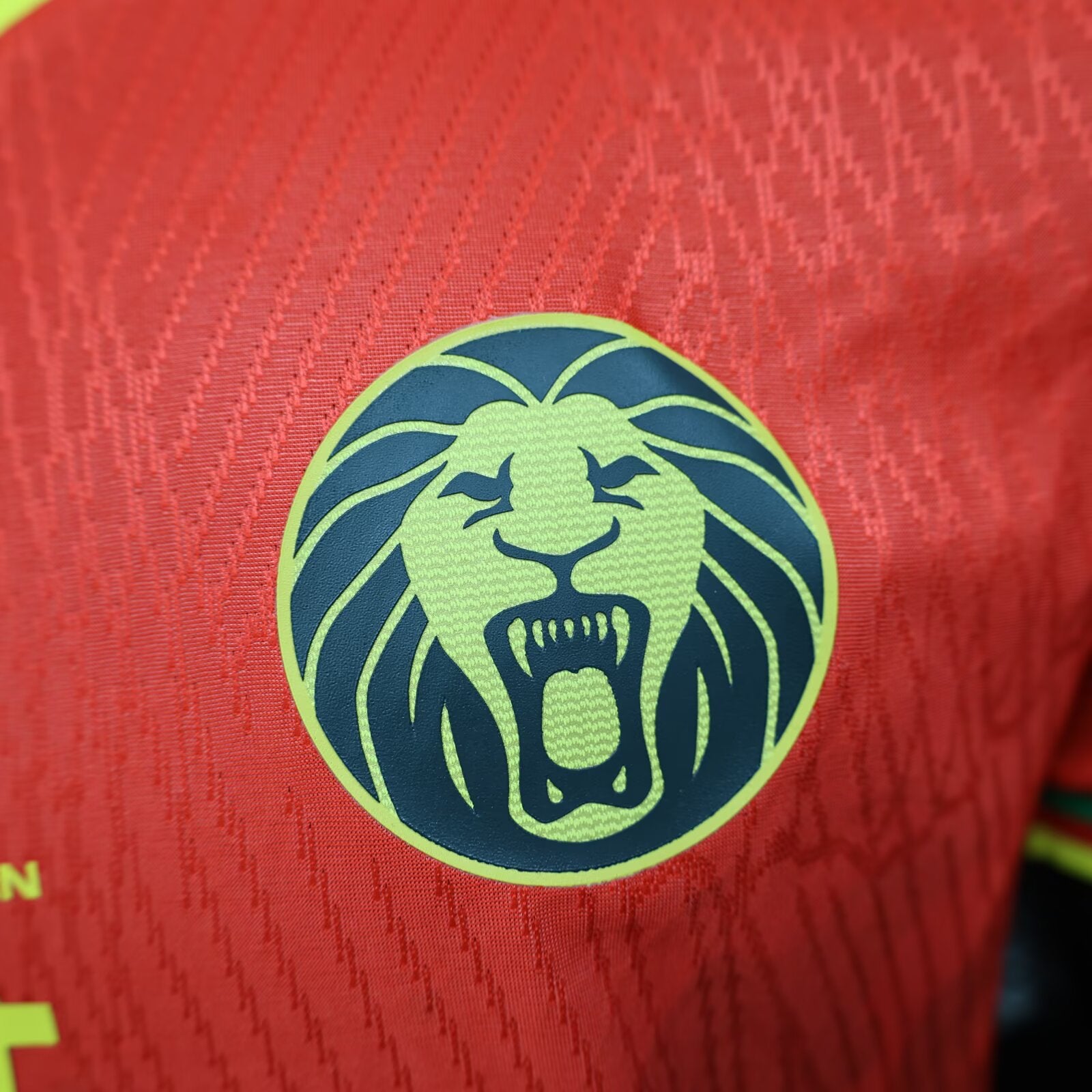 2025/2026 Player Version Cameroon  away
