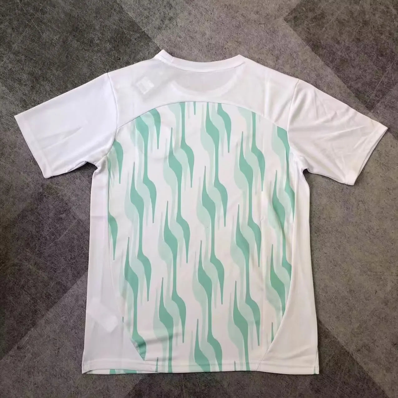 2025/2026 Palmeiras Training clothes