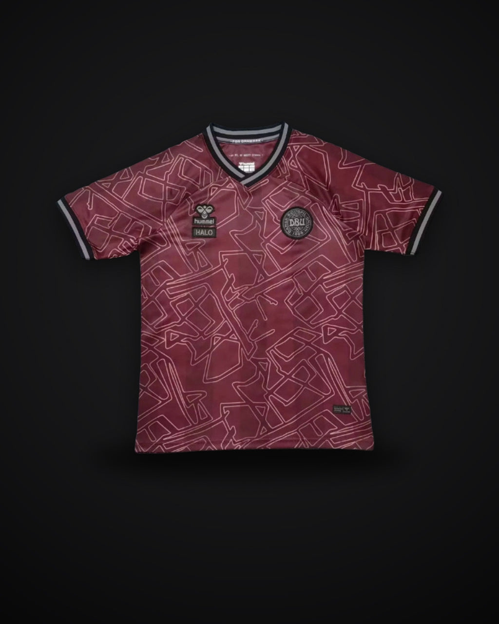 2024/2025 Denmark National Team Special Edition